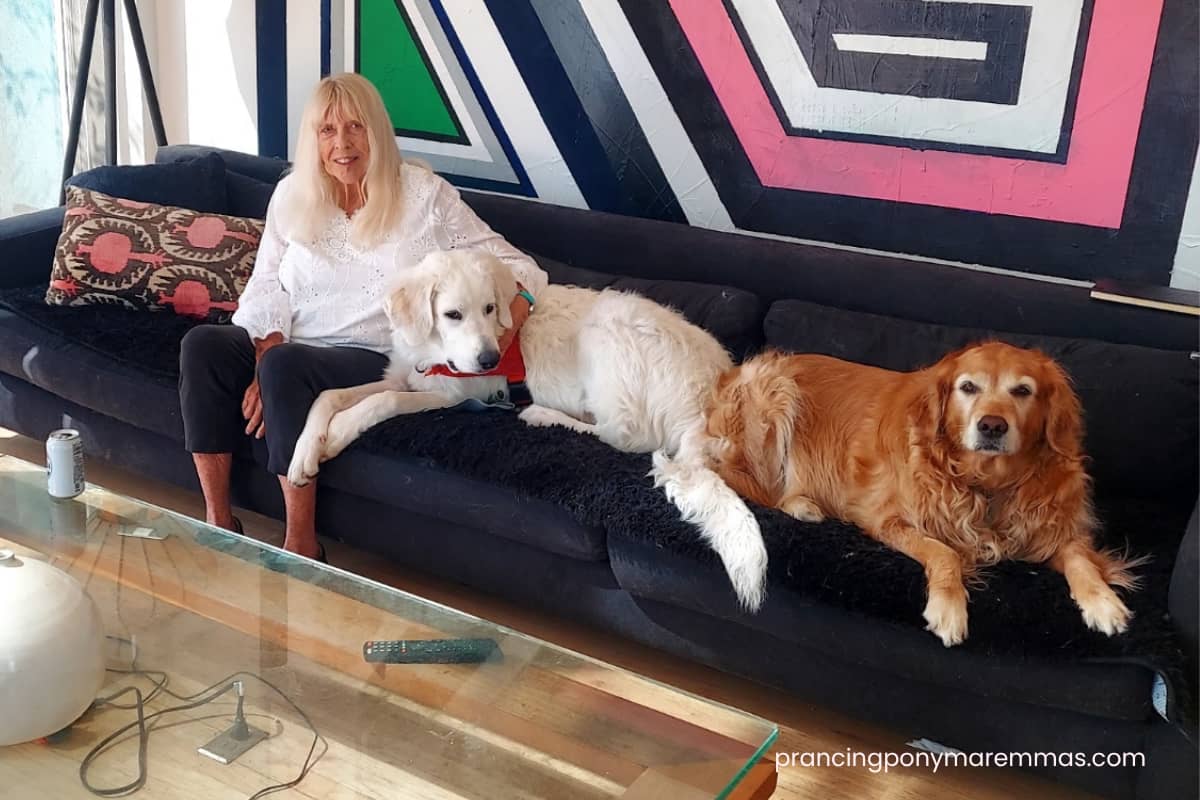 email What Breeder Support Really Looks Like: One Sunday, Three Clients.
