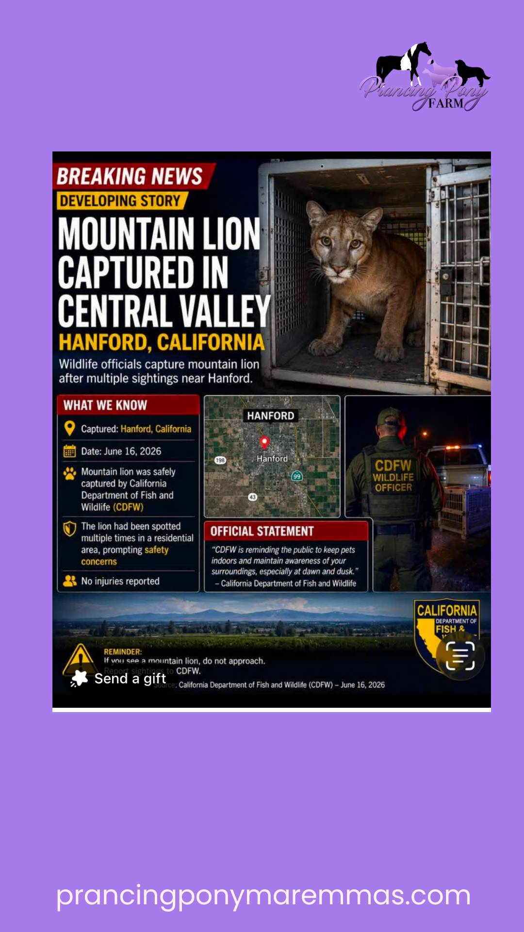 email 🫣 There was a mountain lion captured 15 minutes from my house!