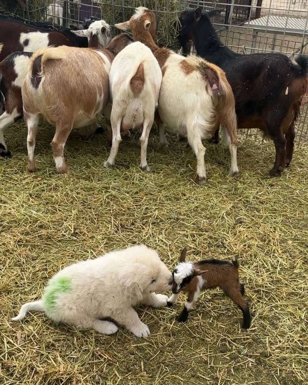 wE7vkTk5YzVuHnPZ5cCUZj What 95% of my clients have in common (it's not what you think)