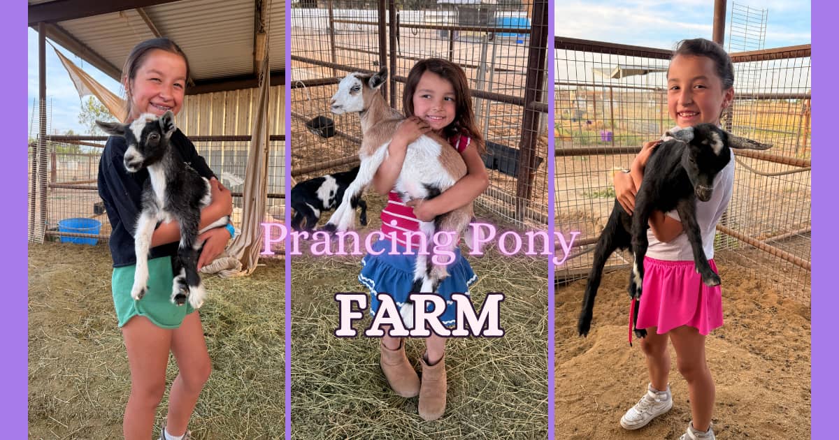 email 🐐 The bucks had other plans