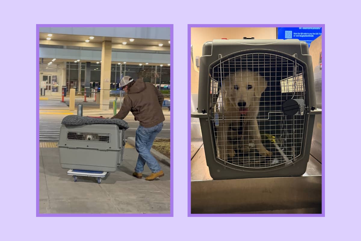 email Why I'm sharing this (and why it matters)