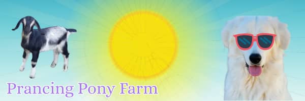 🌞 Your LGD summer survival guide (it's mostly about water)