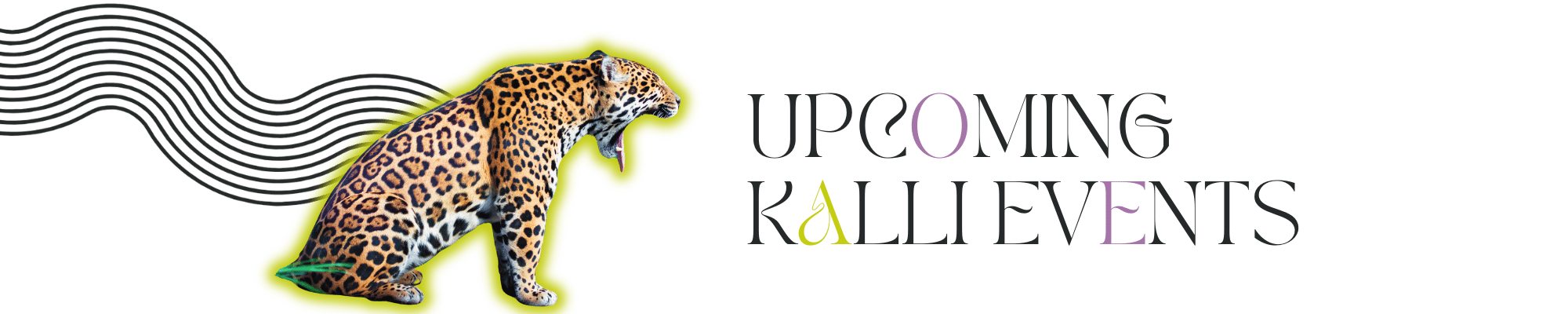 upcoming kalli events