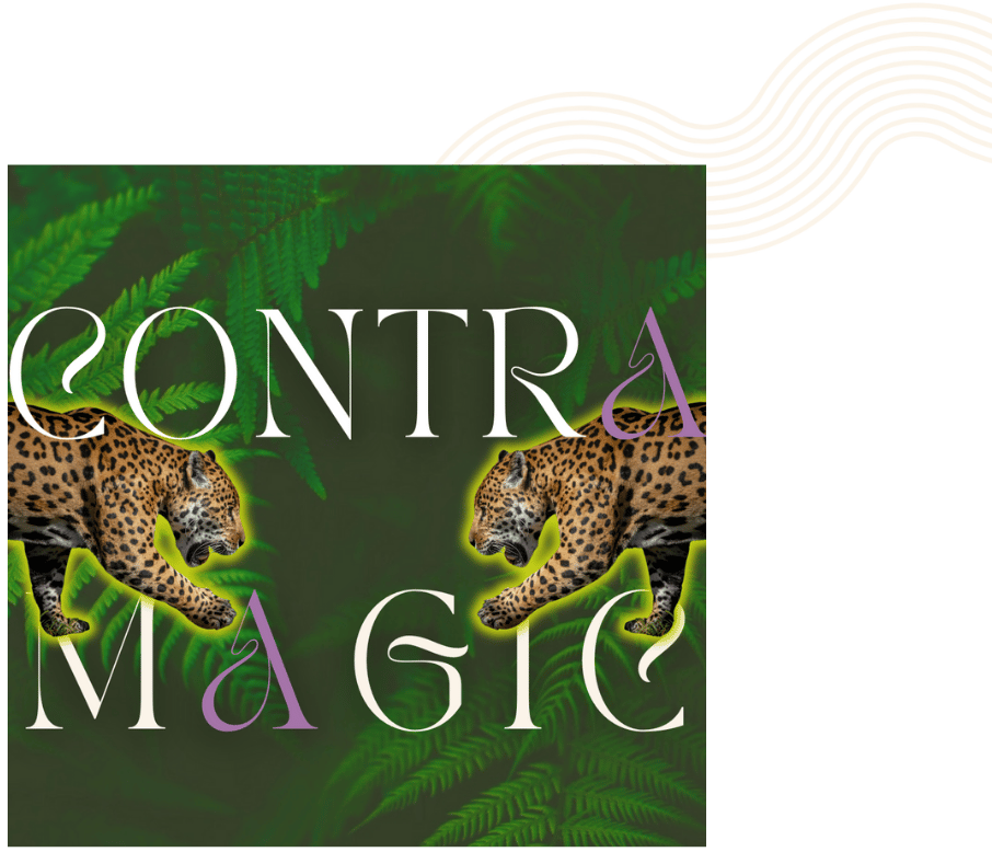 contra magic workshop