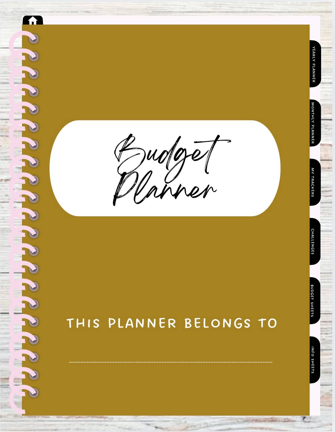 Ultimate Digital Budget Planner