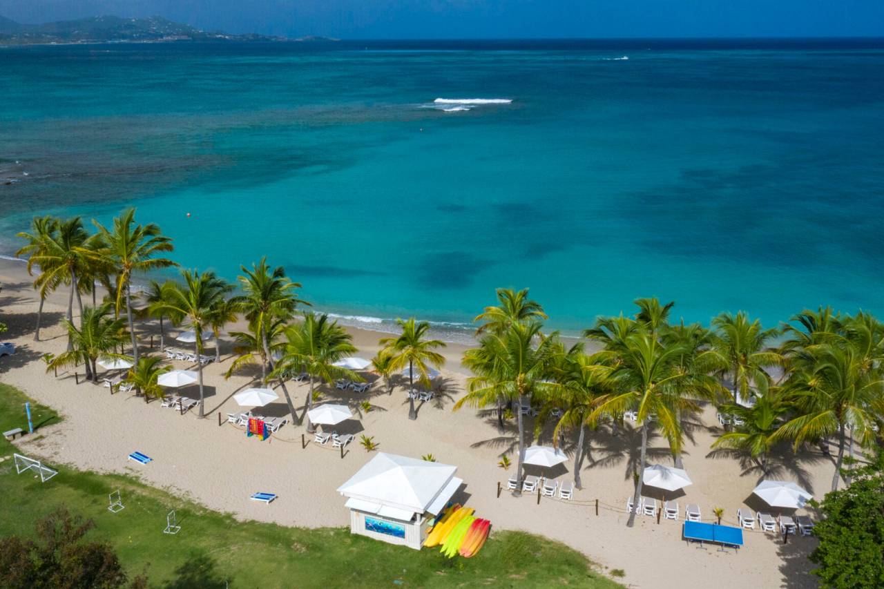 Beautiful Caribbean beach lined with palm trees, beach chairs and umbrellas.