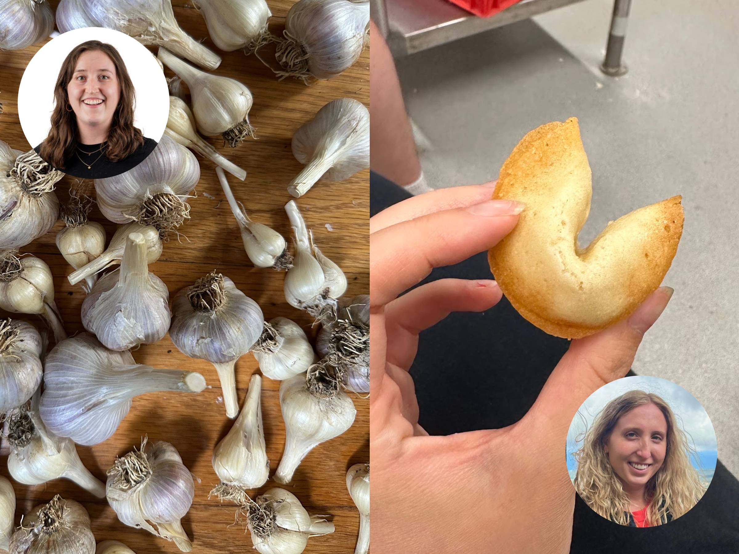 Lots of garlic and homemade fortune cookies