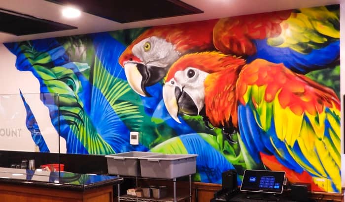 Macaws by Fasm