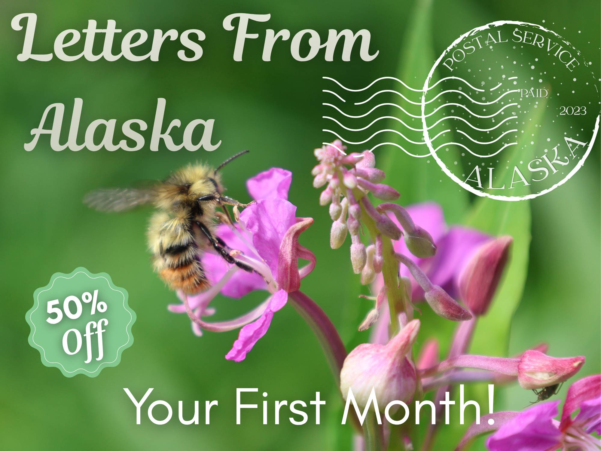 Your connection to Alaska without connecting to the wifi