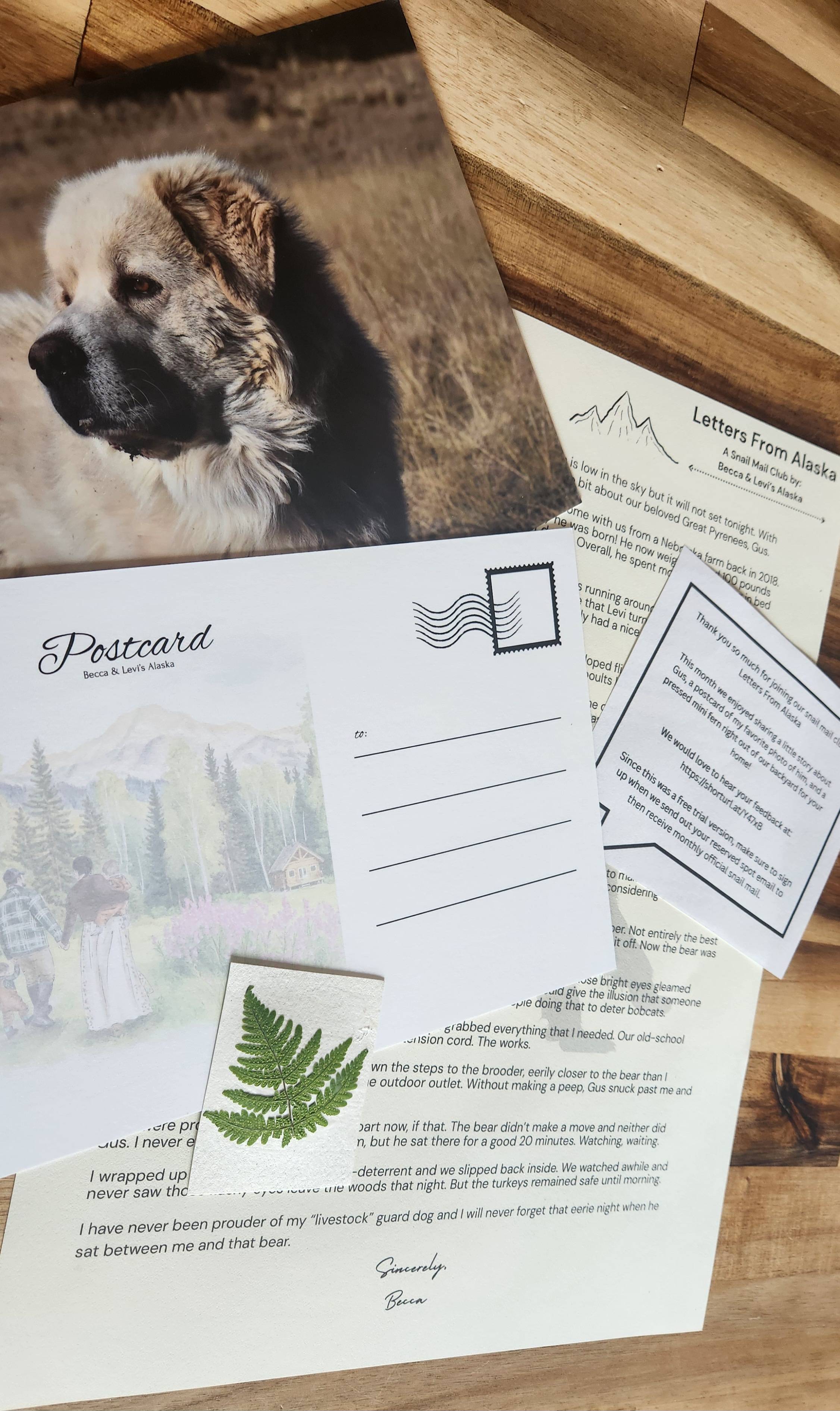 Monthly EMAIL: Letters From Alaska