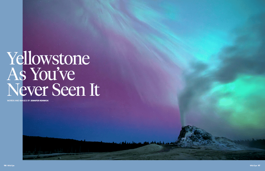 A geyser erupts under a sky full of aurora in Yellowstone National Park. 