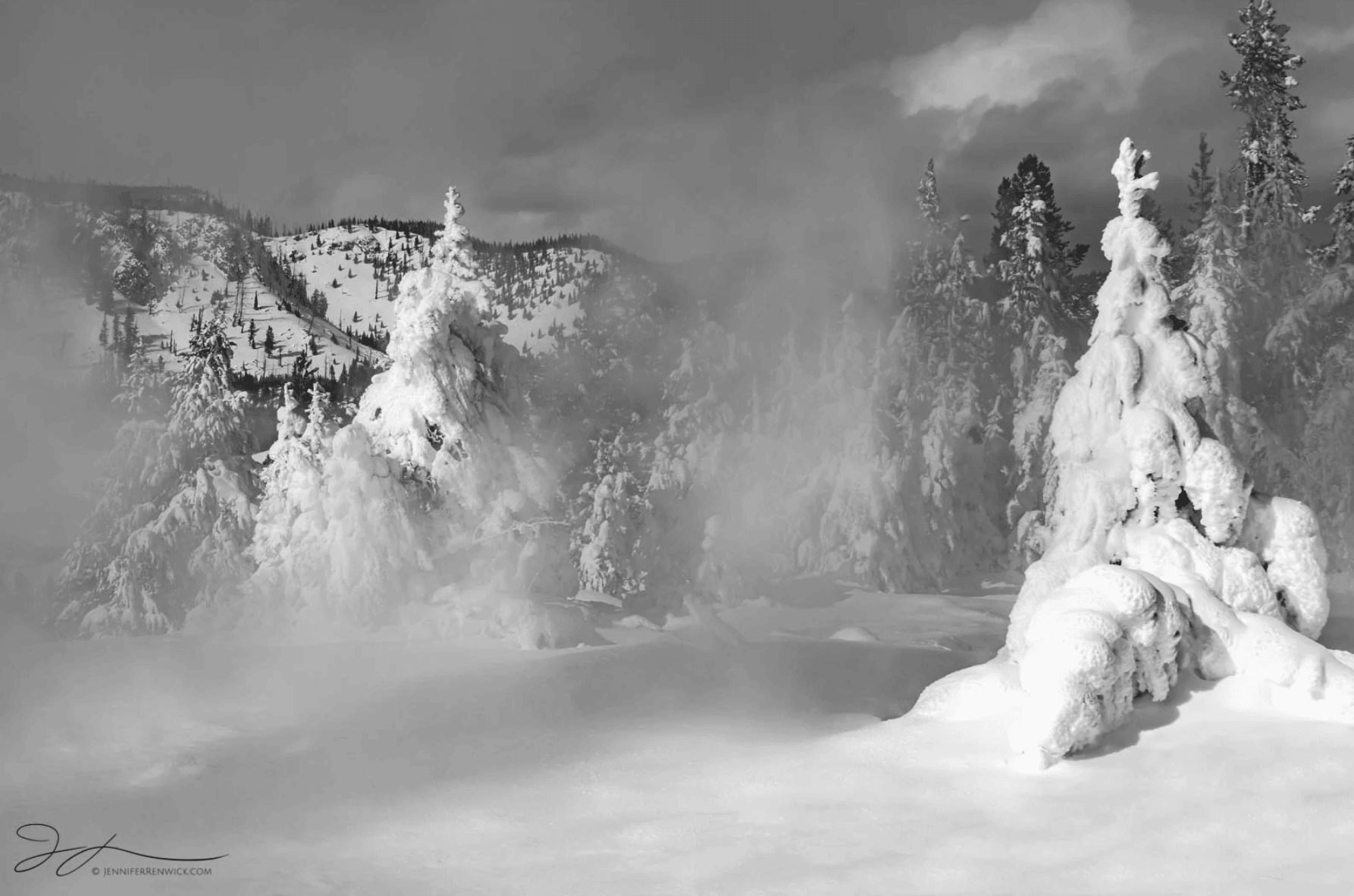 Snow covered trees in a geyser basin in Yellowstone National Park. 