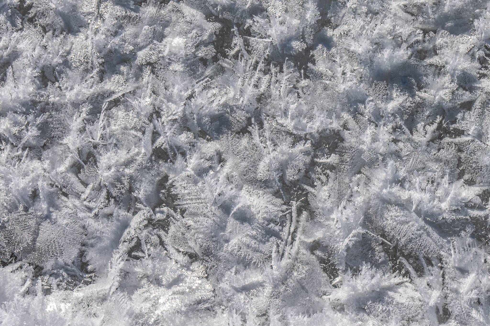 Close up photo of hoar frost crystals.