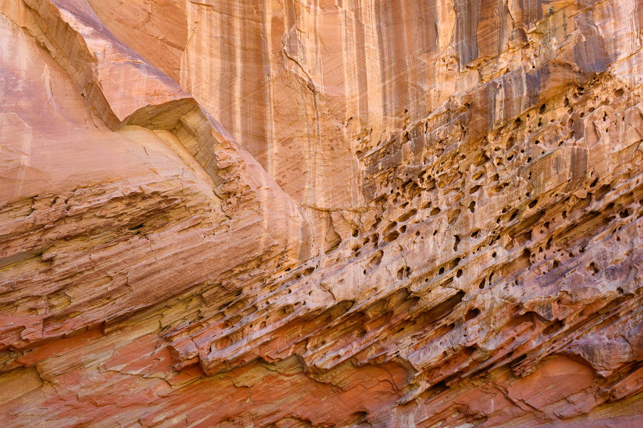 Photos of sandstone, sandstone cliffs and desert oils from Utah.