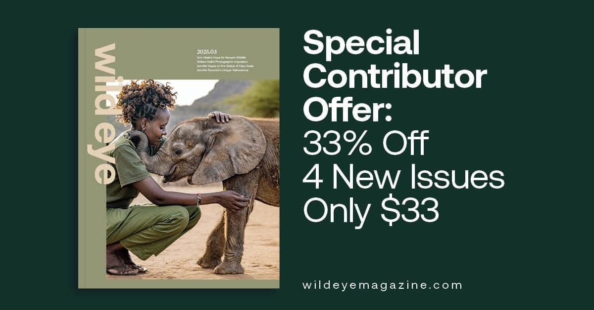 A woman embraces an elephant calf for the cover photo of Wild Eye Magazine.
