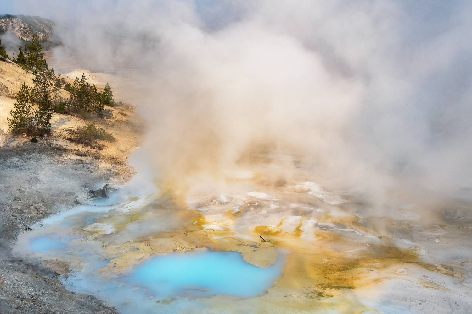 porcelain springs yellowstone national park