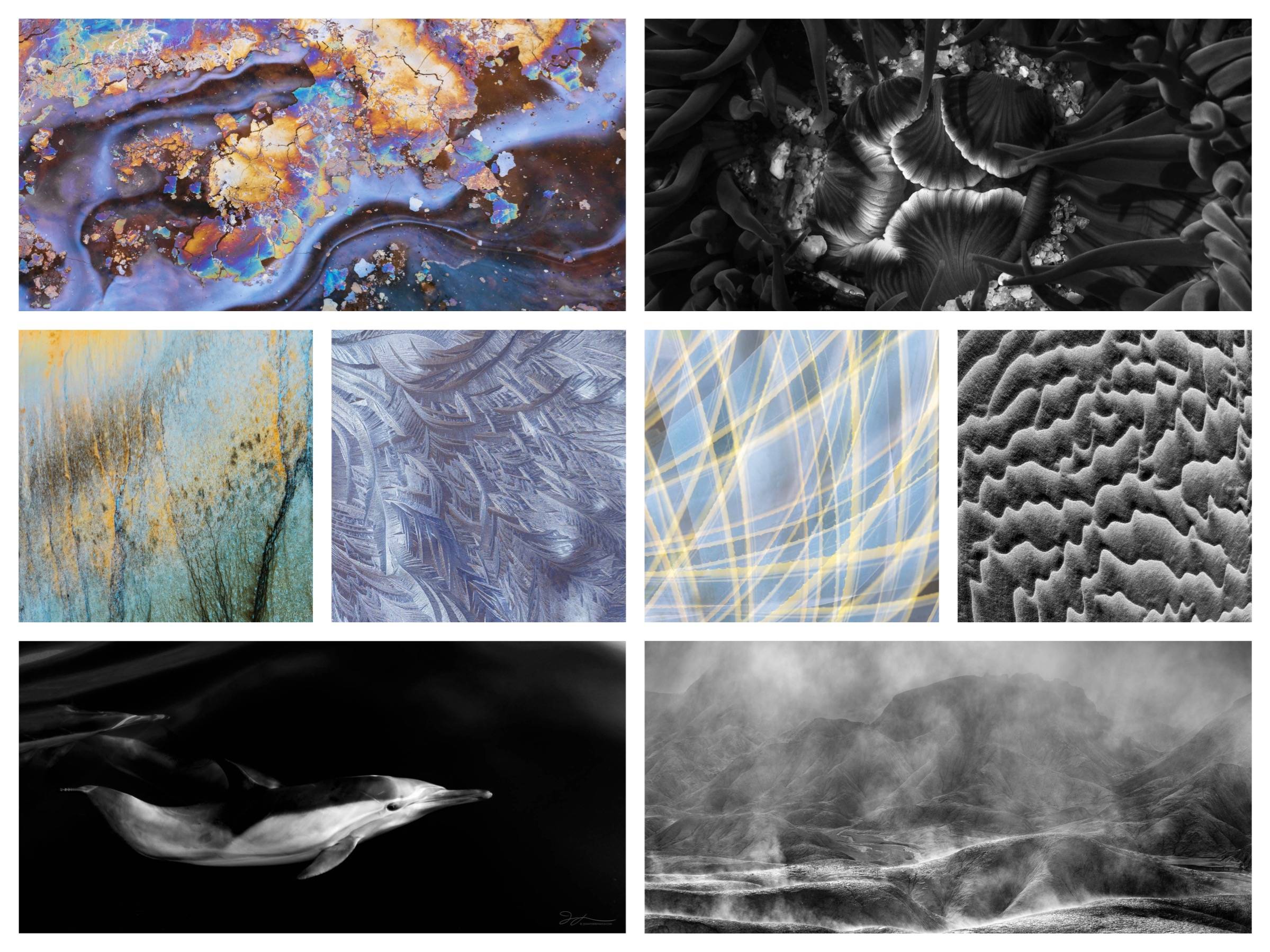 A collage of images representing photo projects that photographer Jennifer Renwick has curated.