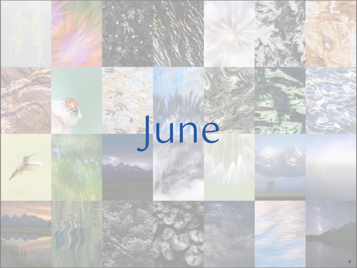 A collage of nature photos for the cover of an ebook. 