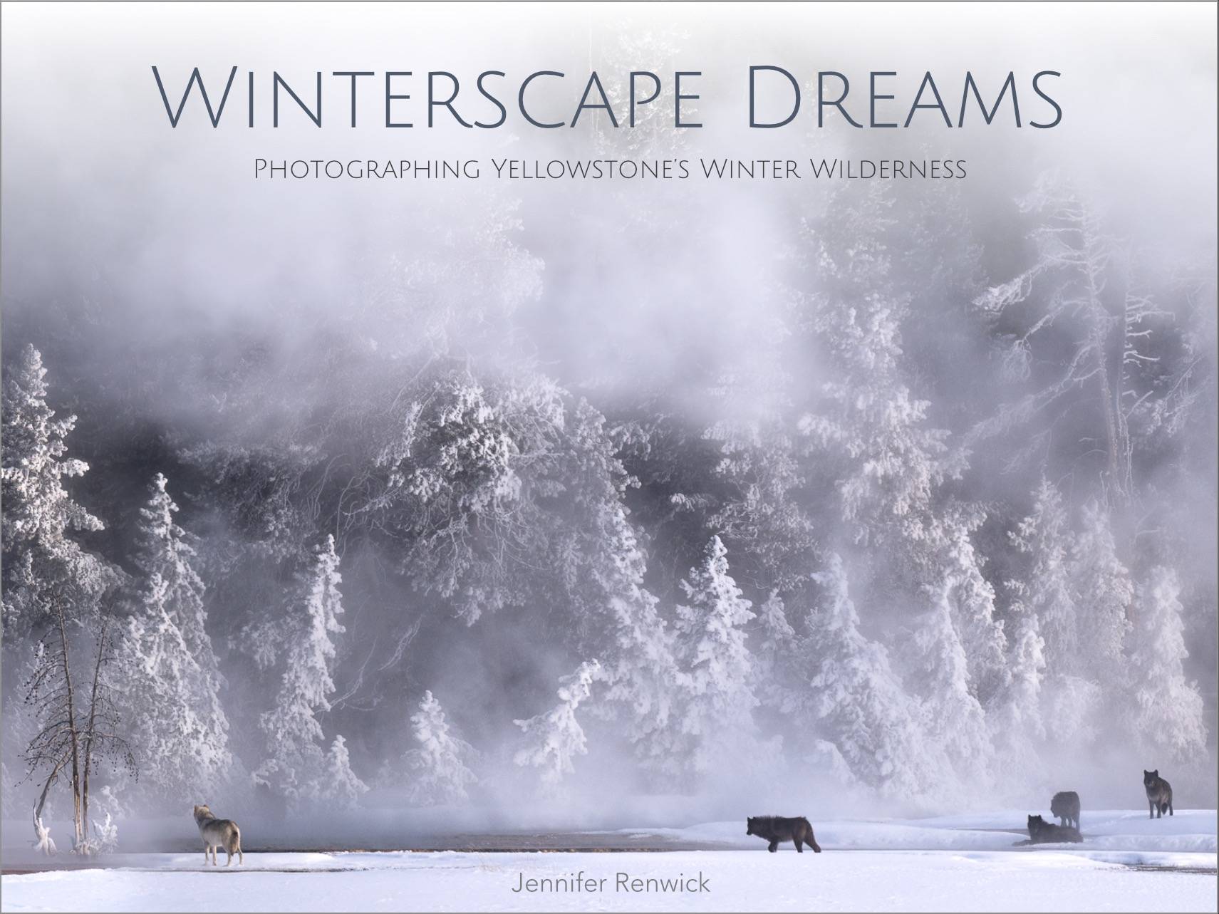 Wolves walk over thermal features in Yellowstone National Park in a clearing with snow covered