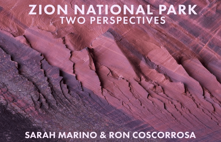 Sandstone patterns and shapes adorn a wall of rock.