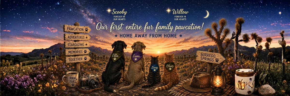 furSmith PawCaation under the Borrego Springs Milky Way with Scooby and Willow shining above
