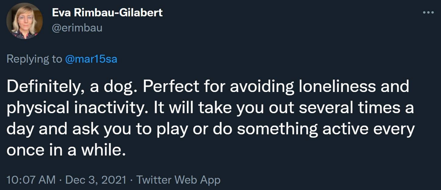 Definitely, a dog. Perfect for avoiding loneliness and physical inactivity. It will take you out several times a day and ask you to play or do something active every once in a while.