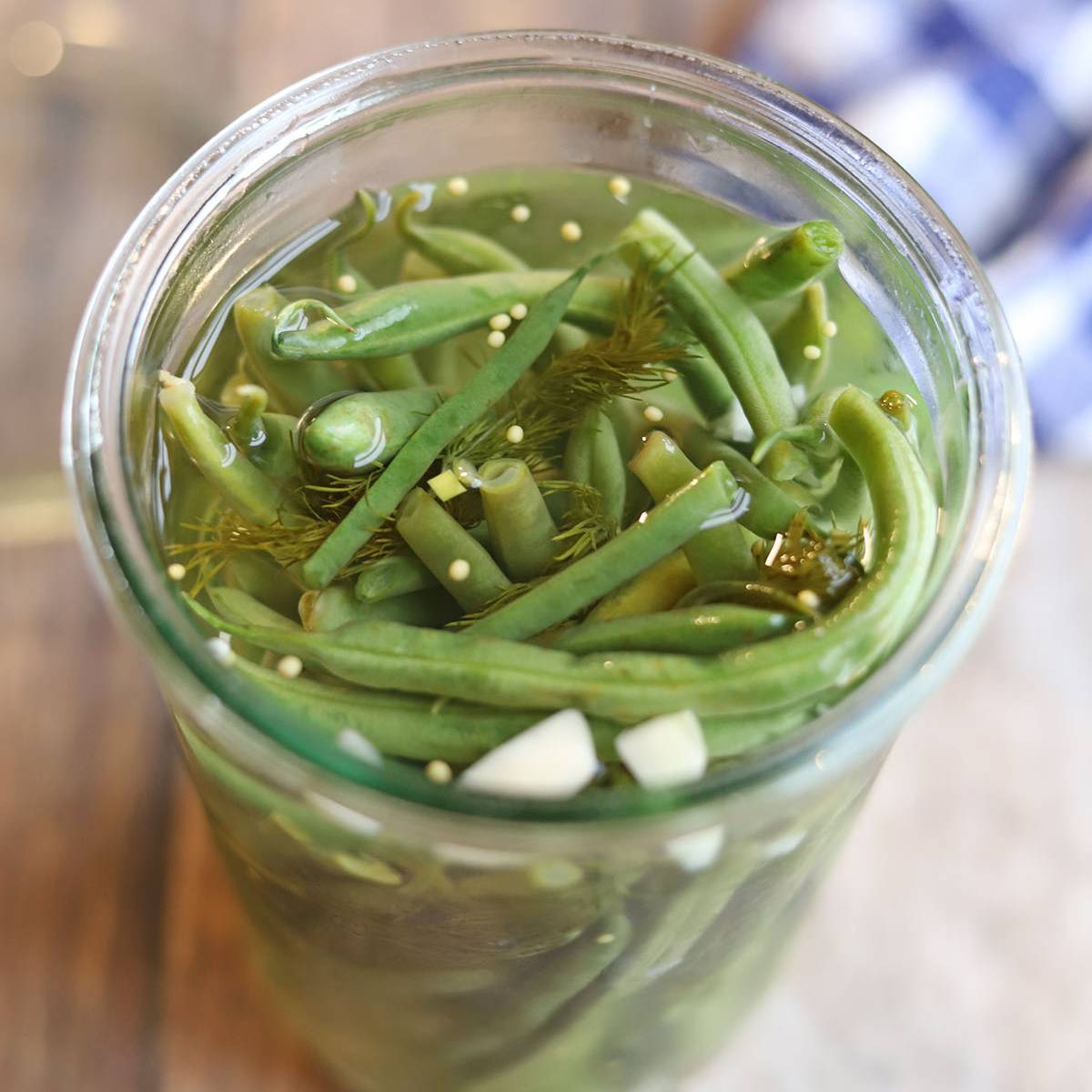 Dilly beans in a jar with fresh dill and garlic in brine.