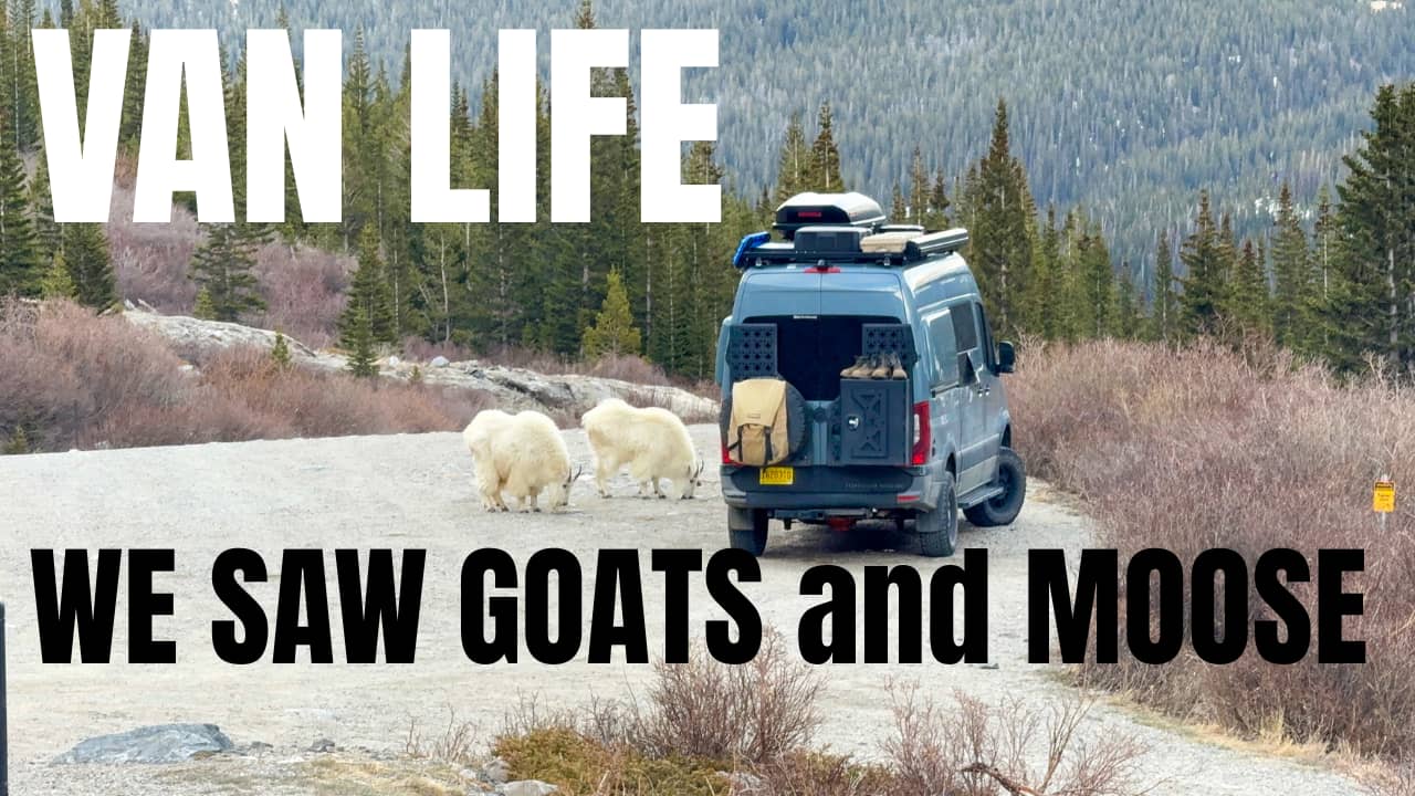 12,000 Camp Site | Van Life