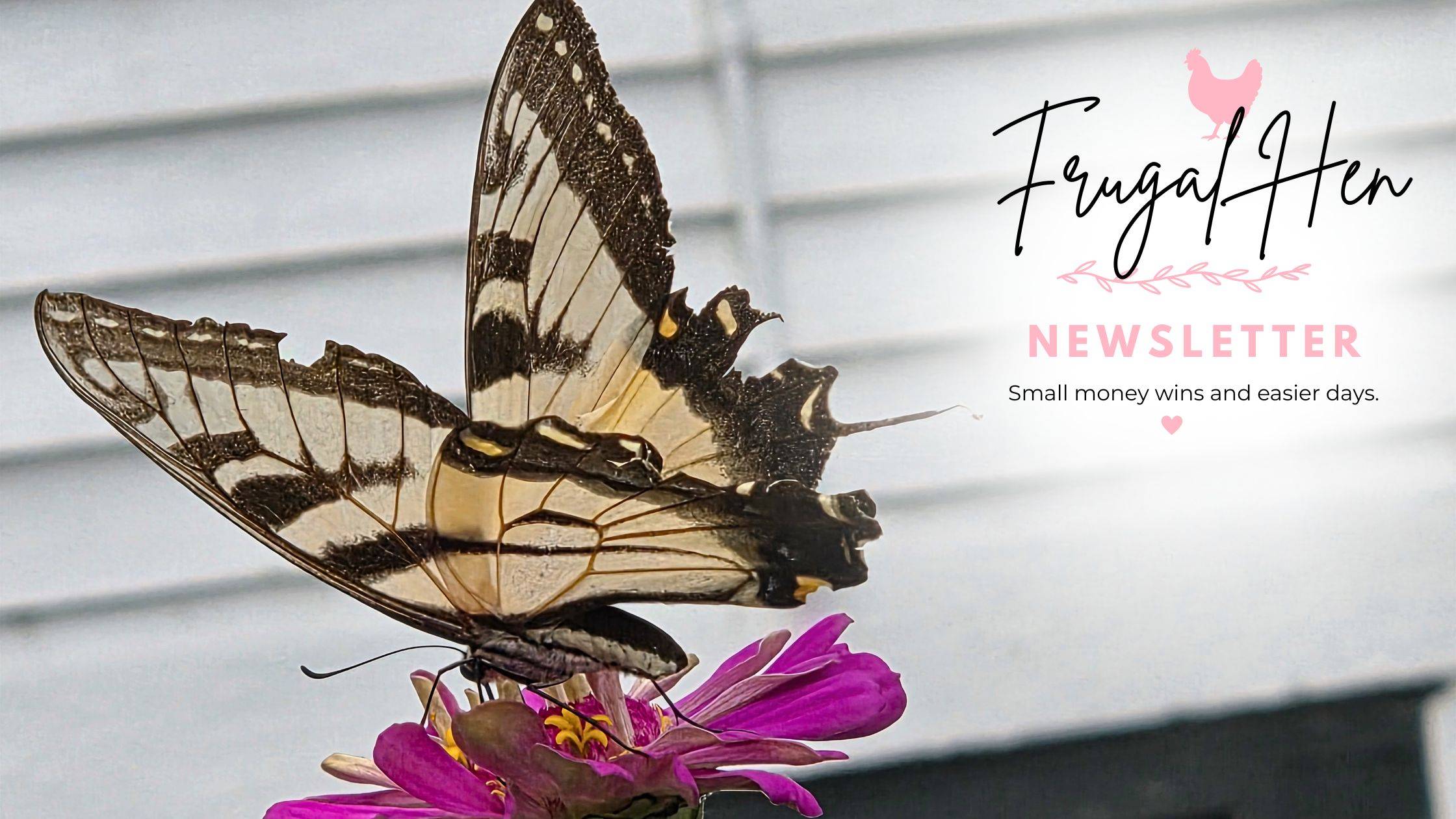 A black-and-yellow butterfly resting on a bright pink flower beside the Frugal Hen newsletter logo.