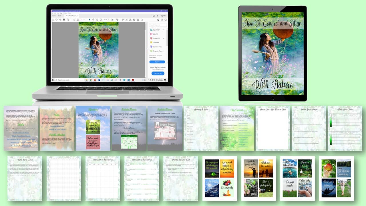How To Connect and Align With Nature
