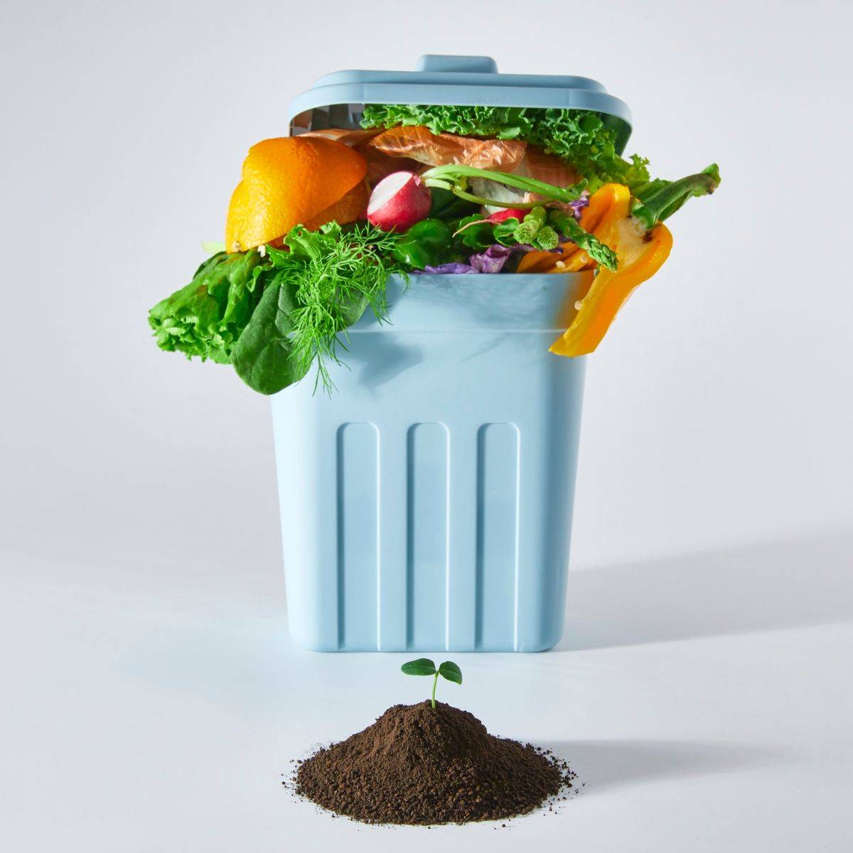 food waste tips for food waste action week and bin showing food waste.