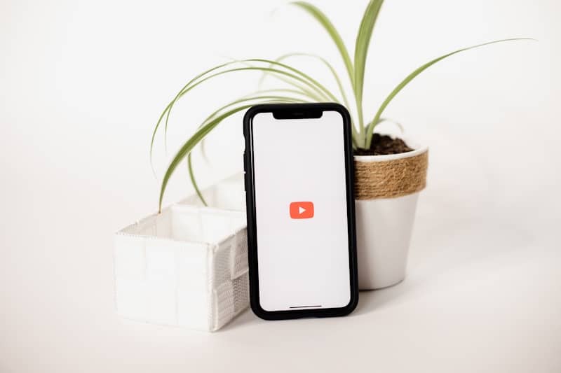 a cell phone sitting next to a potted plant