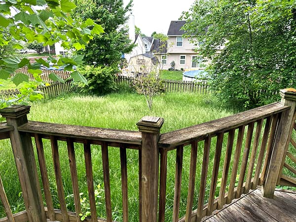 Neglected back garden we will transform