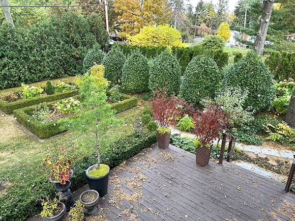 Autumn colors in the garden