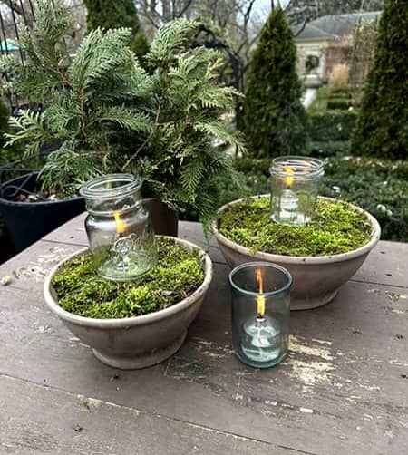 Moss containers decorate a winter table