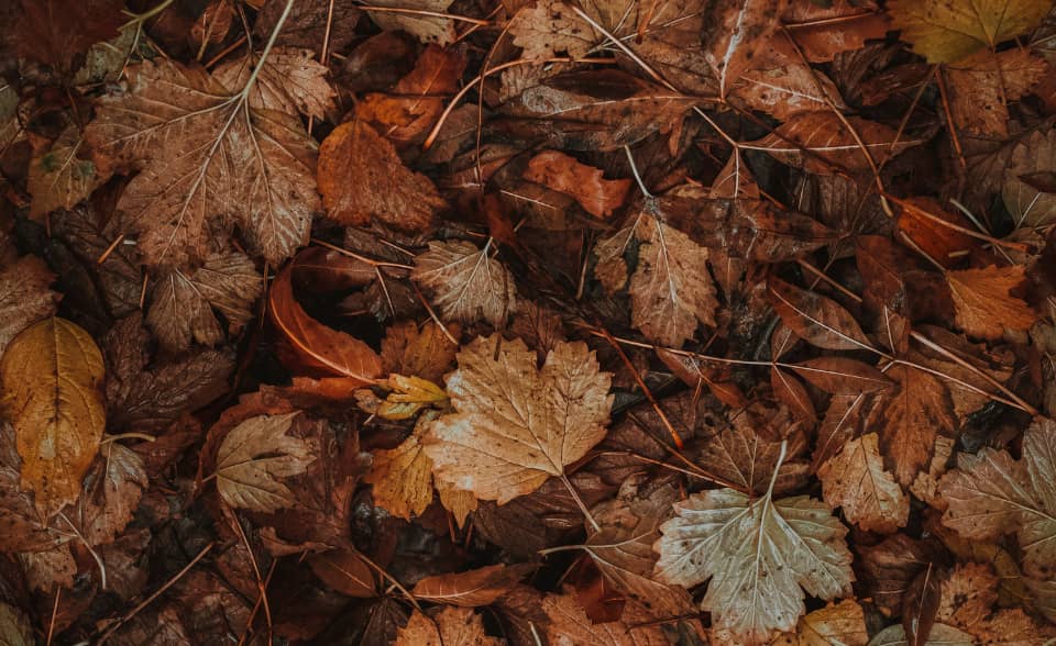 Beautiful Writing and the Pull Toward God