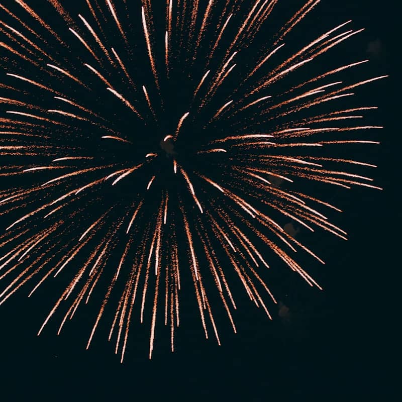 a large fireworks is lit up in the night sky