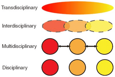 transdisciplinary meaning diagram