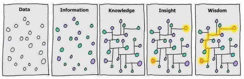 data insight wisdom diagram