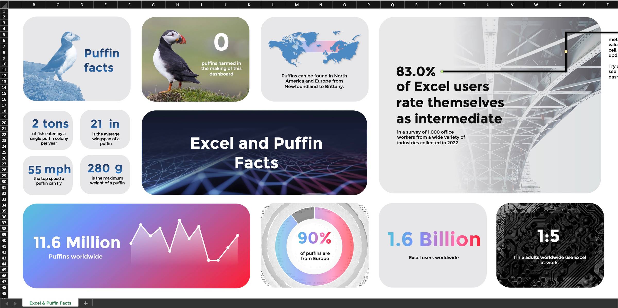 Excel and Puffin Facts illustrated dashboard example from the template library