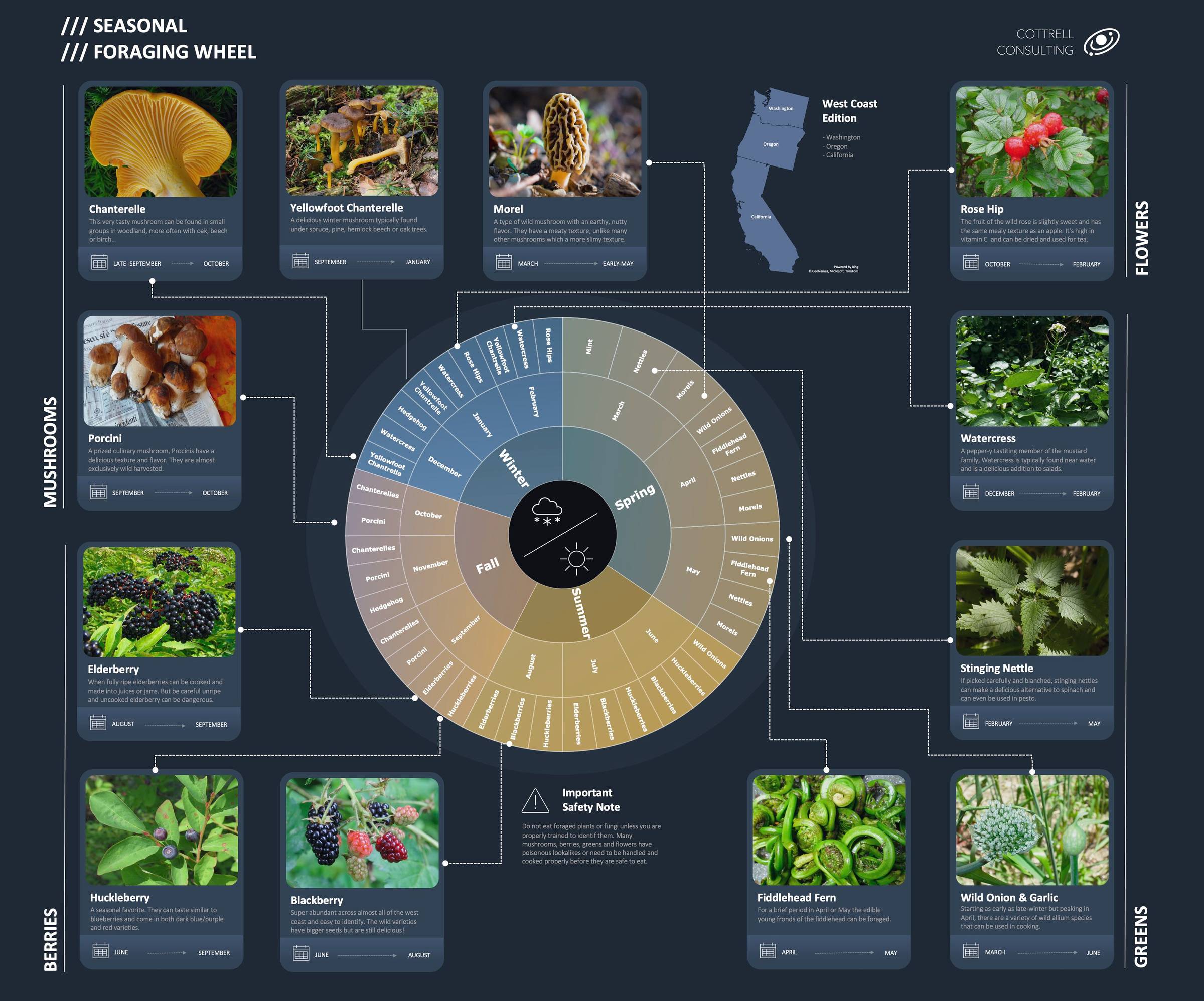Infographic Sample File