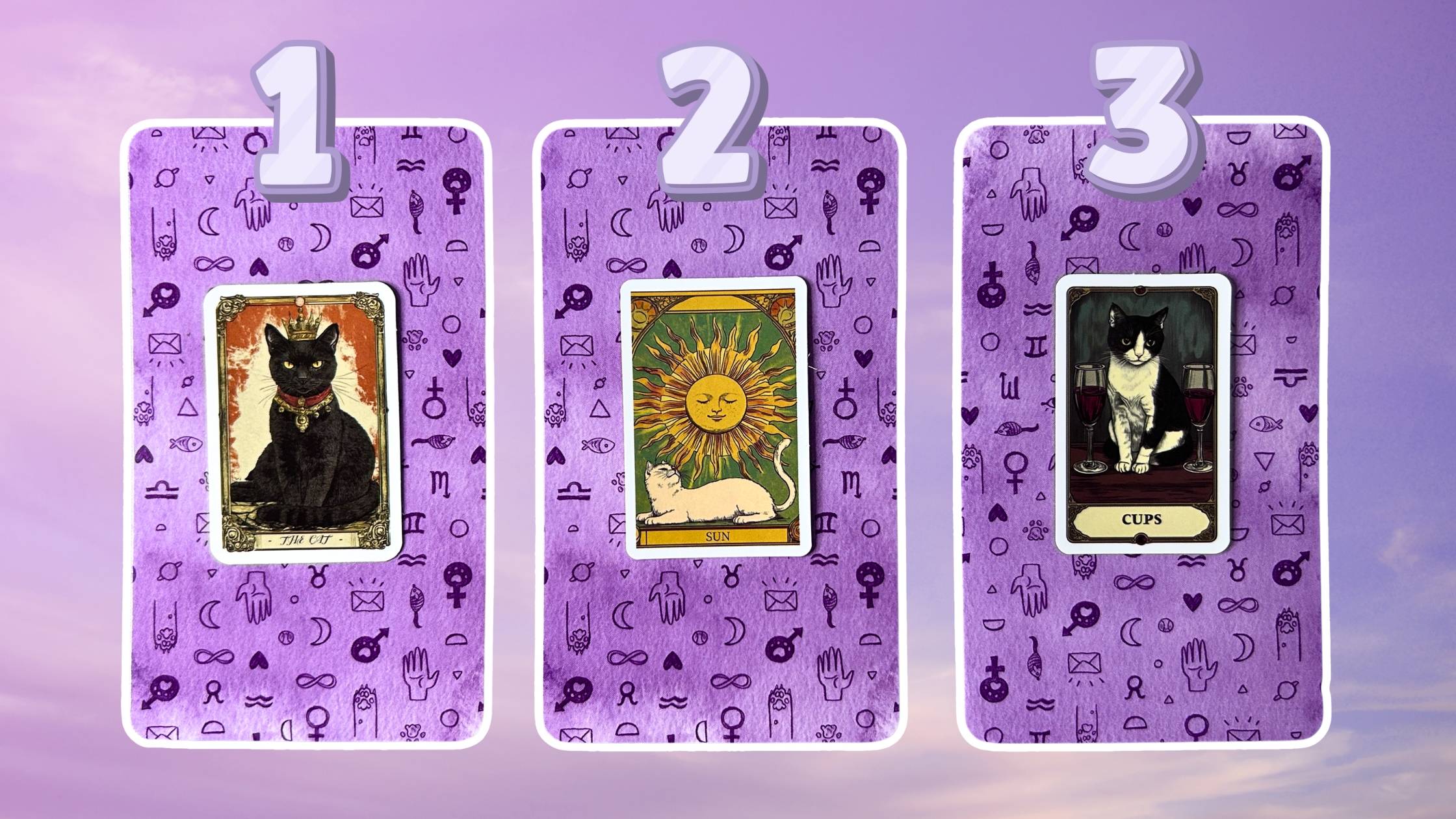 Three tarot pick a card piles on April 2026: pile 1 - black cat, pile 2 - white cat, and pile 3 - tuxedo cat