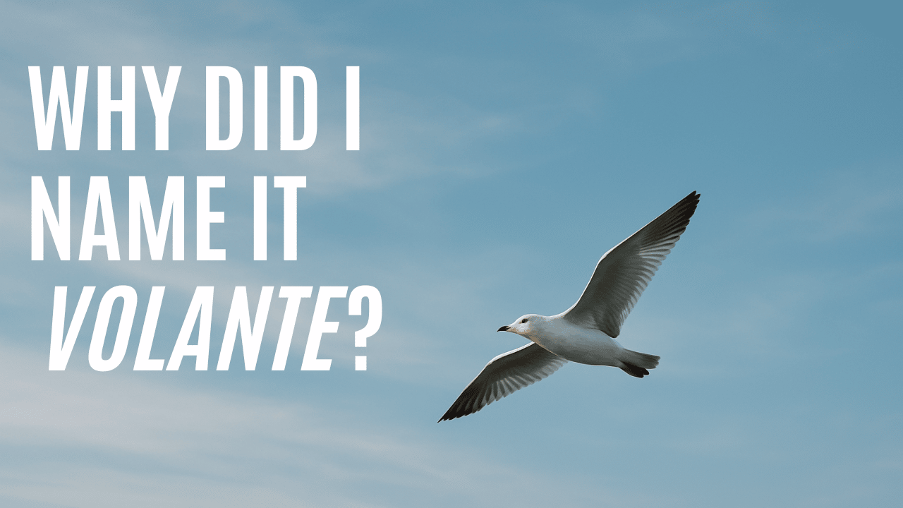 An image of a seagull mid-flight in the lower right half of the image. There is a blue sky with a few wispy clouds. In the left half in white text it reads 'Why did I name it Volante?'