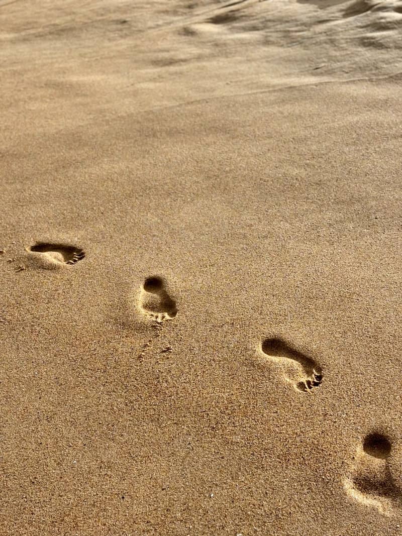 Footprints trail across warm, golden beach sand.
