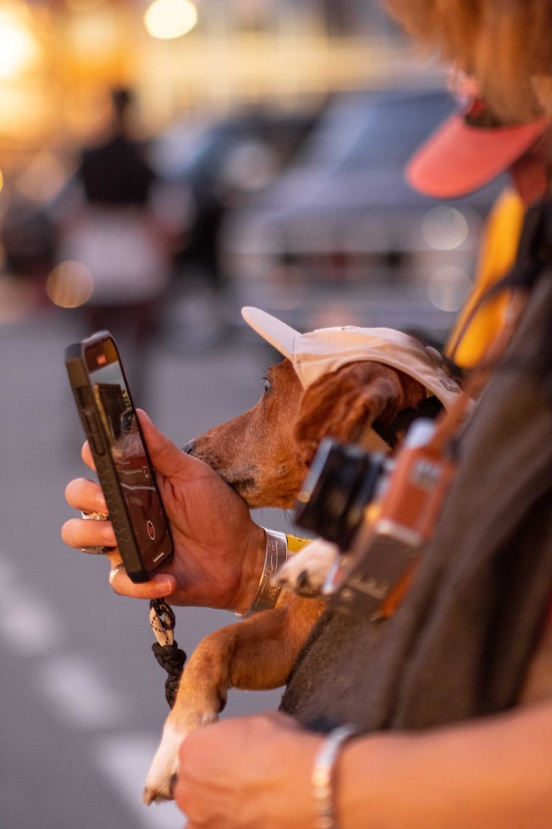 A person holding a dog and a cell phone