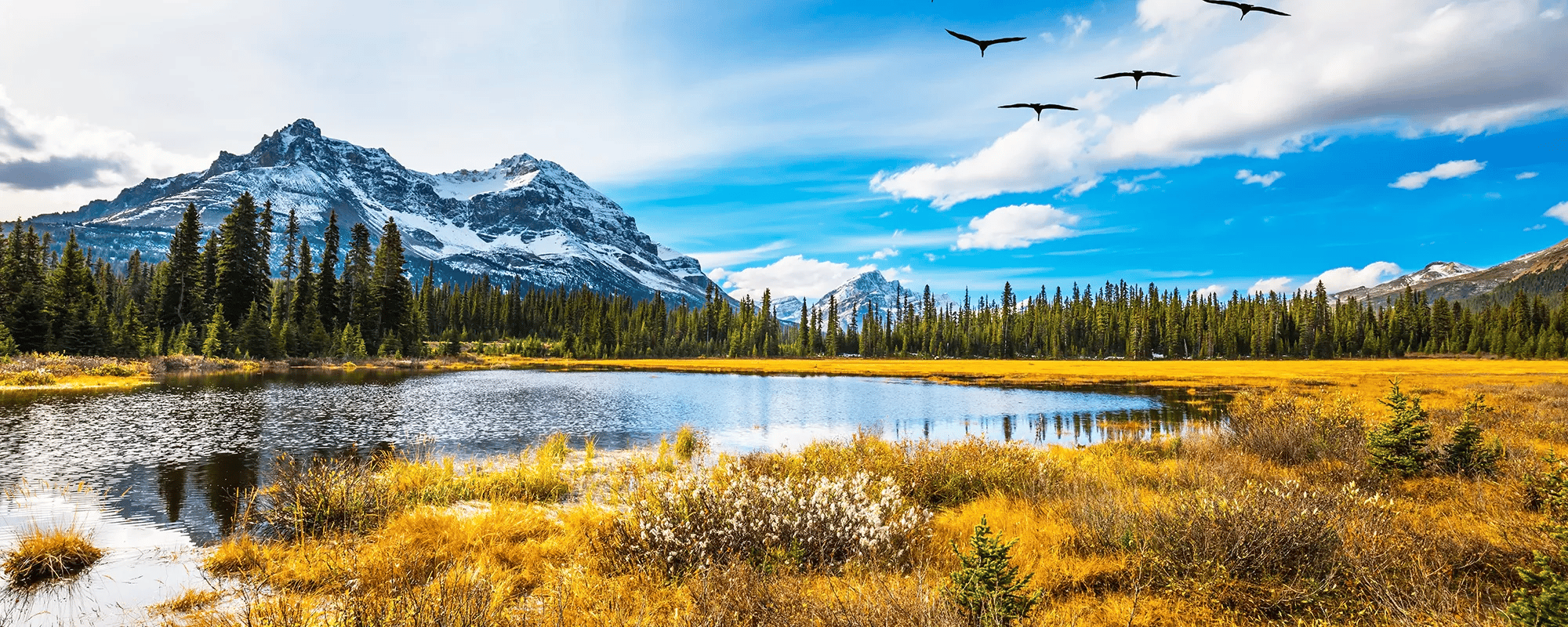 Giants causeway, ocean and cliffs of Ireland