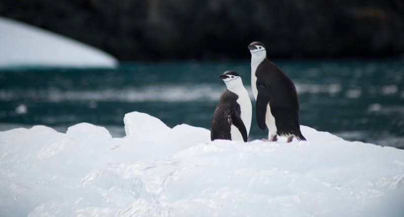 Calton Hill, Edinburgh, United Kingdom