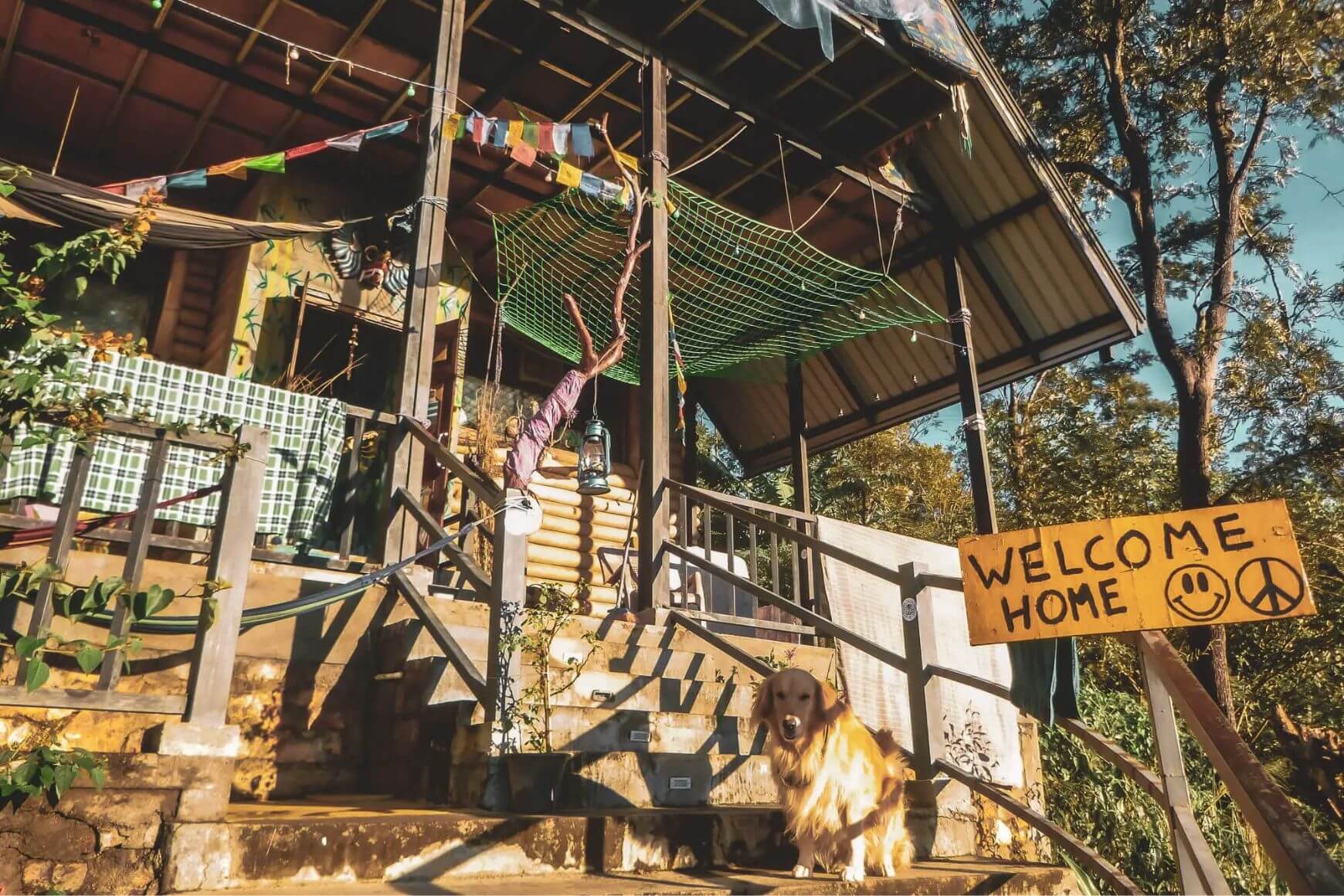 hostel welcome sign with cute fluffy dog