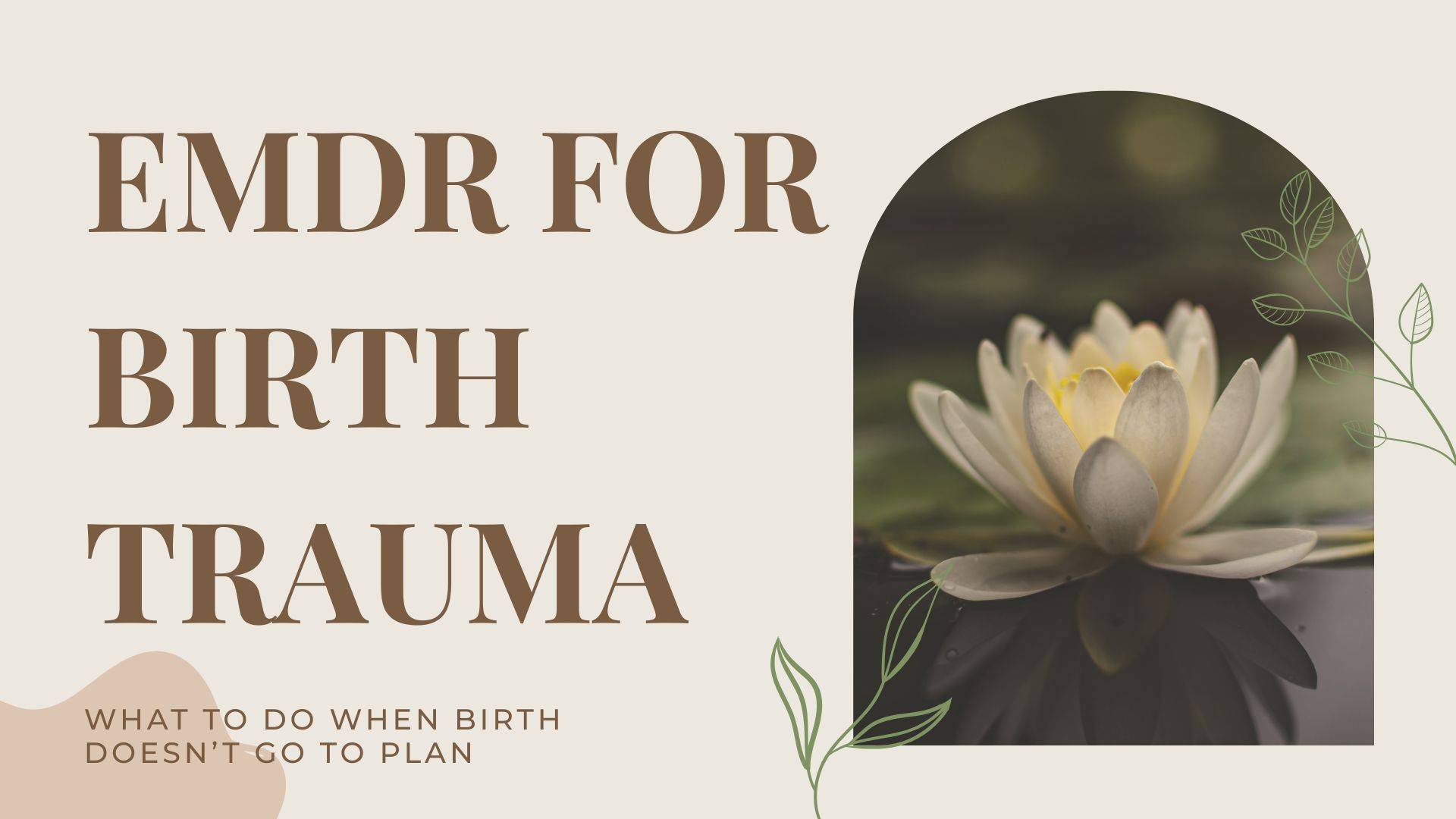 EMDR and Birth Trauma Live Workshop