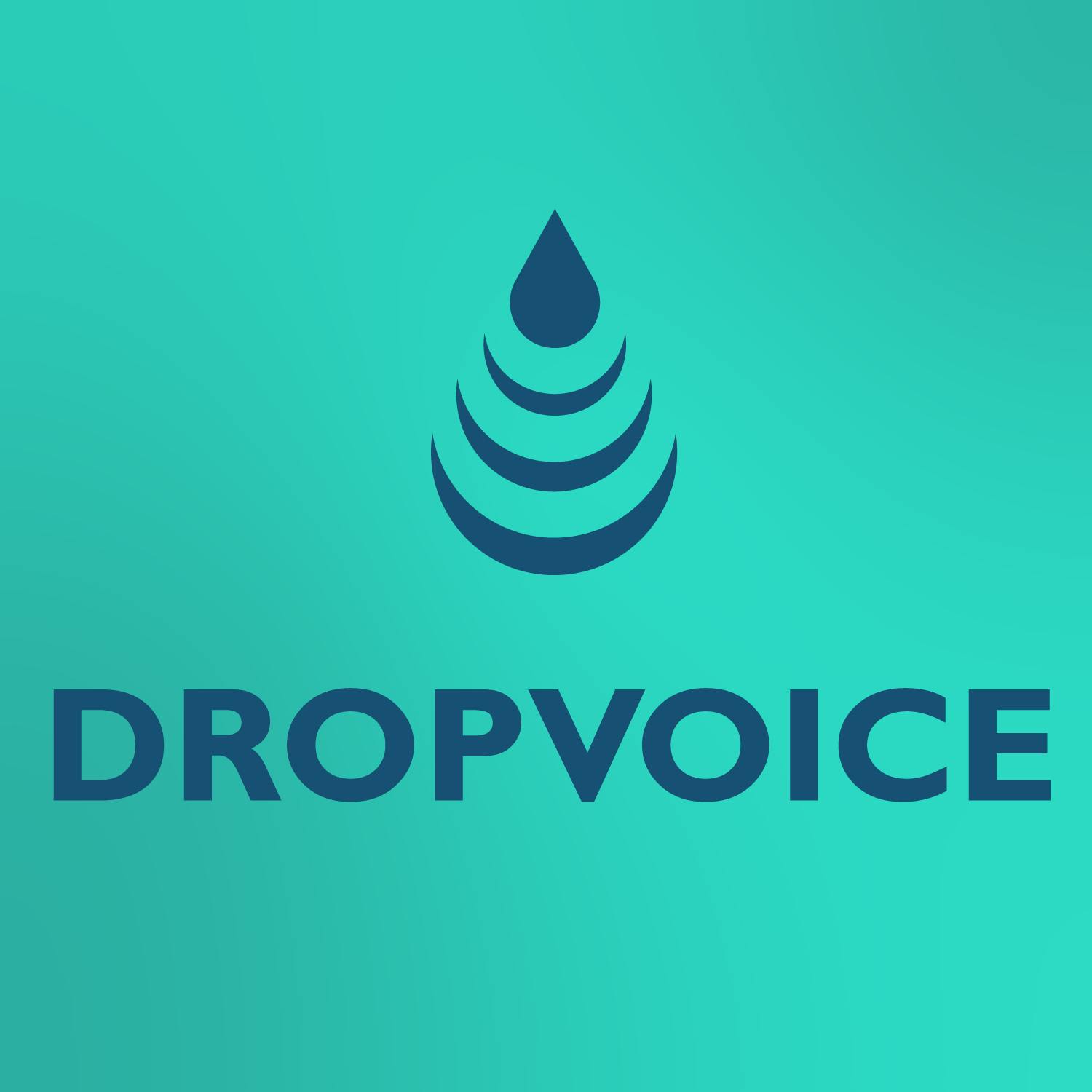 dropvoice_shopify